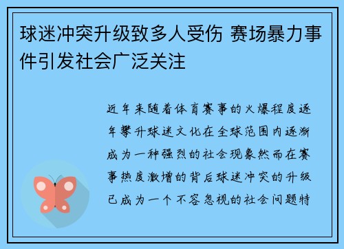 球迷冲突升级致多人受伤 赛场暴力事件引发社会广泛关注